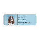 Search for springer spaniel return address labels English