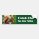 Search for squirrel bumper stickers Driving