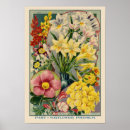 Search for freesias posters Garden