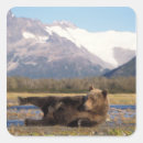 Search for peak stickers River