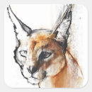 Search for wildcats stickers Animal