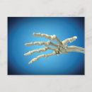 Search for phalanges Medicine