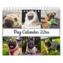 Search for pug calendars Mops