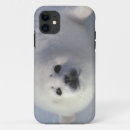 Search for harps iphone cases Harp seal