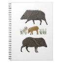 Search for arizona notebooks Illustration