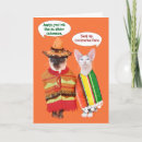Search for gato cards Mexico