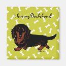 Search for long magnets Wiener dog
