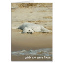 Search for lai postcards Water