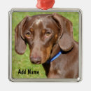 Search for decorated tree mouse mats Dog