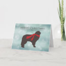 Search for akc dog cards Breed