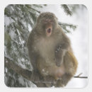 Search for cold temperature stickers Nature
