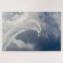 Search for thunderbird puzzles Flying