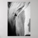 Search for horse ranch art Black and white