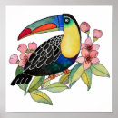 Search for toucan birds posters Tropical bird