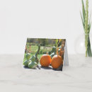 Search for thanksgiving note cards Country