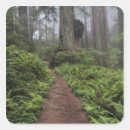 Search for path stickers Trail
