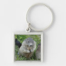 Search for marmot key rings Groundhog