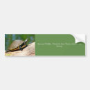 Search for save animals bumper stickers Green