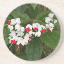 Search for bleeding hearts barware White