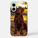 Search for chocolate labrador iphone cases Pet