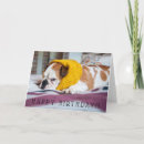 Search for adorable dog cards Animals