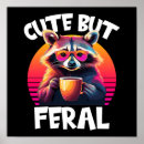 Search for funny raccoon posters Feral
