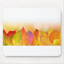 Search for beech mouse mats Autumn