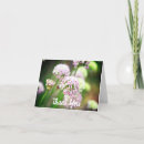 Search for allium cards Purple