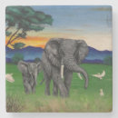 Search for elephant coasters Sunset