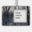 Search for storm christmas tree decorations Forest