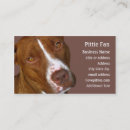 Search for pit business cards Bull
