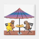 Search for chat magnets Cute