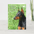 Search for doberman mom postcards Pet