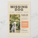 Search for missing the flyers Lost