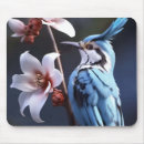 Search for backyards mouse mats Backyard birds