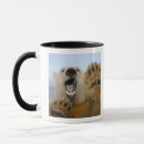 Search for nwr mugs Pack ice