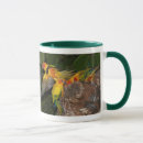Search for conures home living Nature