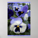 Search for periwinkle posters Lavender
