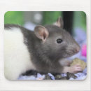 Search for cute rat mouse mats Baby