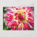 Search for i love you postcards Flower