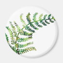Search for fern magnets Environment