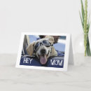 Search for dog mom cards Mum