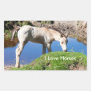 Search for foal stickers Horse