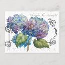 Search for blue hydrangea postcards Botanical