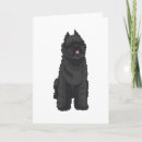 Search for bouvier de Bouvier des flandres