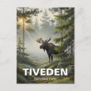 Search for moose postcards Scandinavia