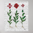 Search for vintage carnation art Animals