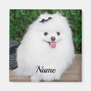 Search for fluffy white square magnets Animal