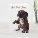 Search for boxer cards Dog