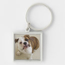 Search for new jersey key rings Looking at camera